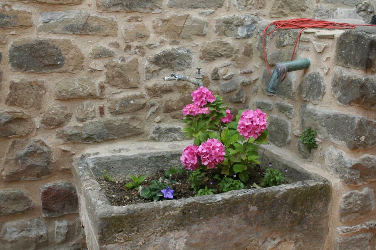 Maison d'hôtes Mas Tulsà Rural à Riudellots de la Creu Extérieur photo
