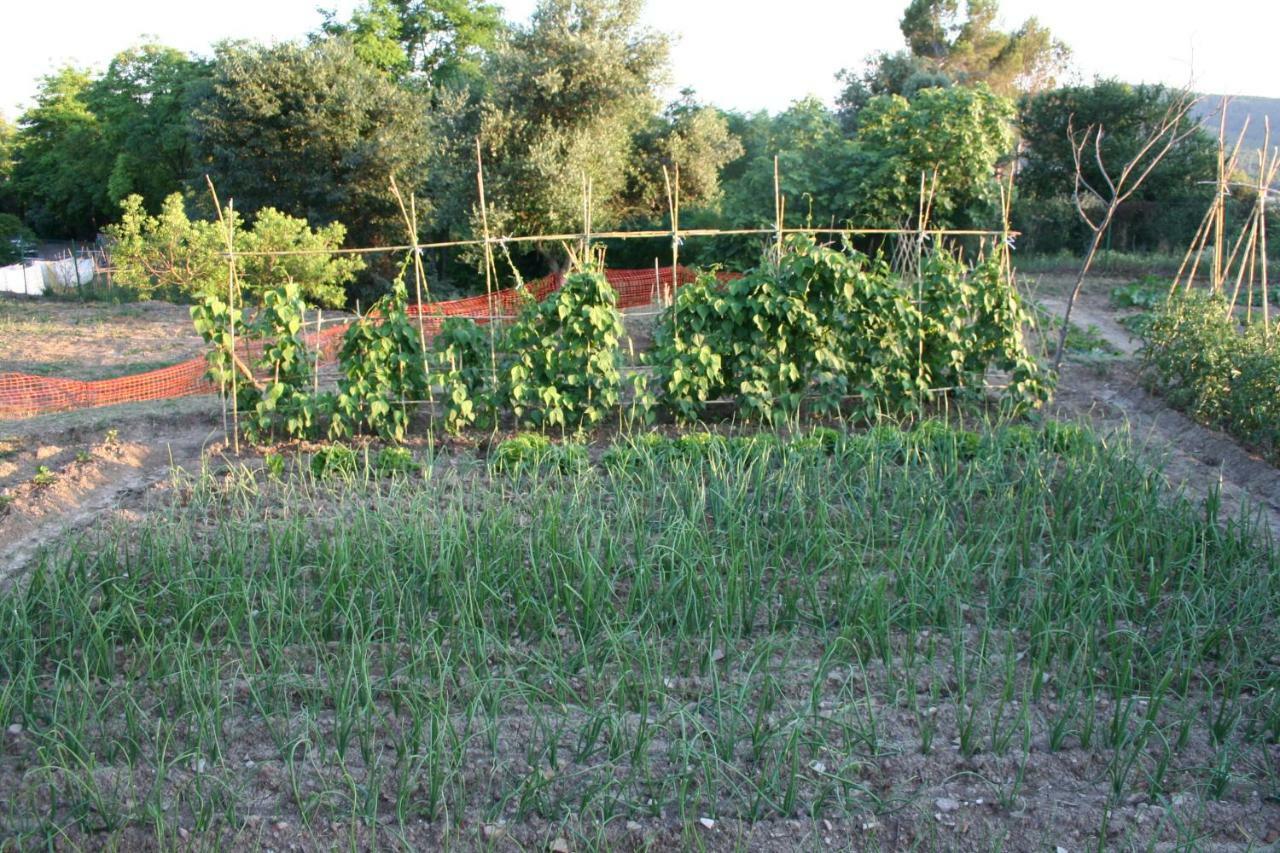 Maison d'hôtes Mas Tulsà Rural à Riudellots de la Creu Extérieur photo